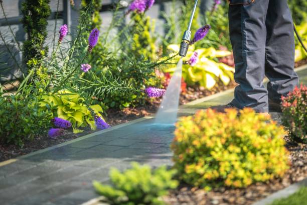 Best Winterizing Services  in Bloomfield, NM